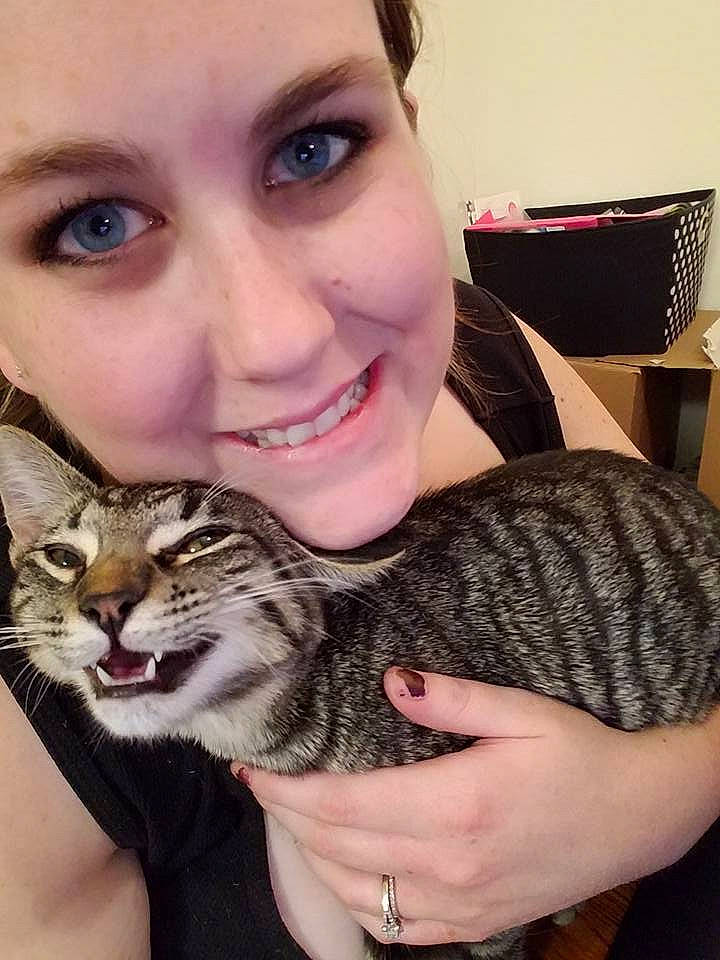 Missy joined the competition — help win amazing prizes! american_shorthair, asian, carnivore, cat, cheek, domestic_short_haired_cat, dragon_li, egyptian_mau, european_shorthair, felidae, fur, hair, jaw, joy, lip, long_hair, nose, person, selfie, small_to_medium_sized_cats