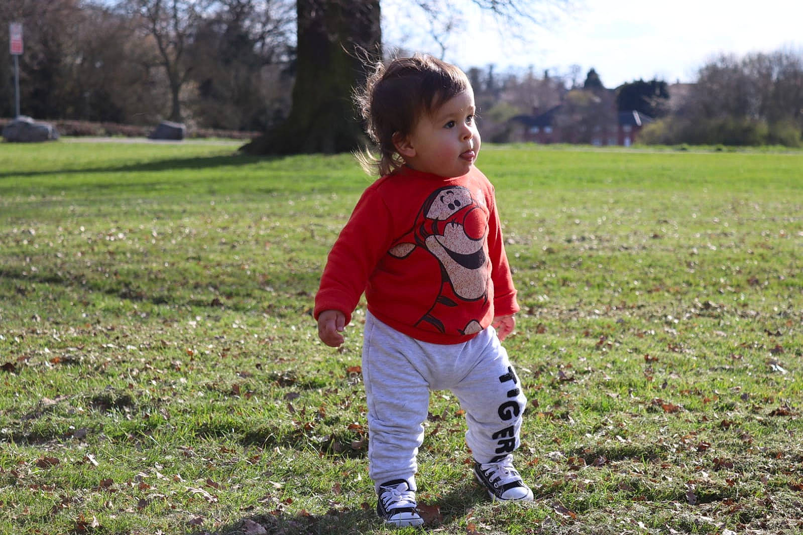 Dominic joined the competition — help win amazing prizes! baby, baby_toddler_clothing, fun, grass, grass_family, grassland, happy, landscape, lawn, leaf, meadow, natural_environment, people_in_nature, person, plant, prairie, sky, soil, sunlight, toddler