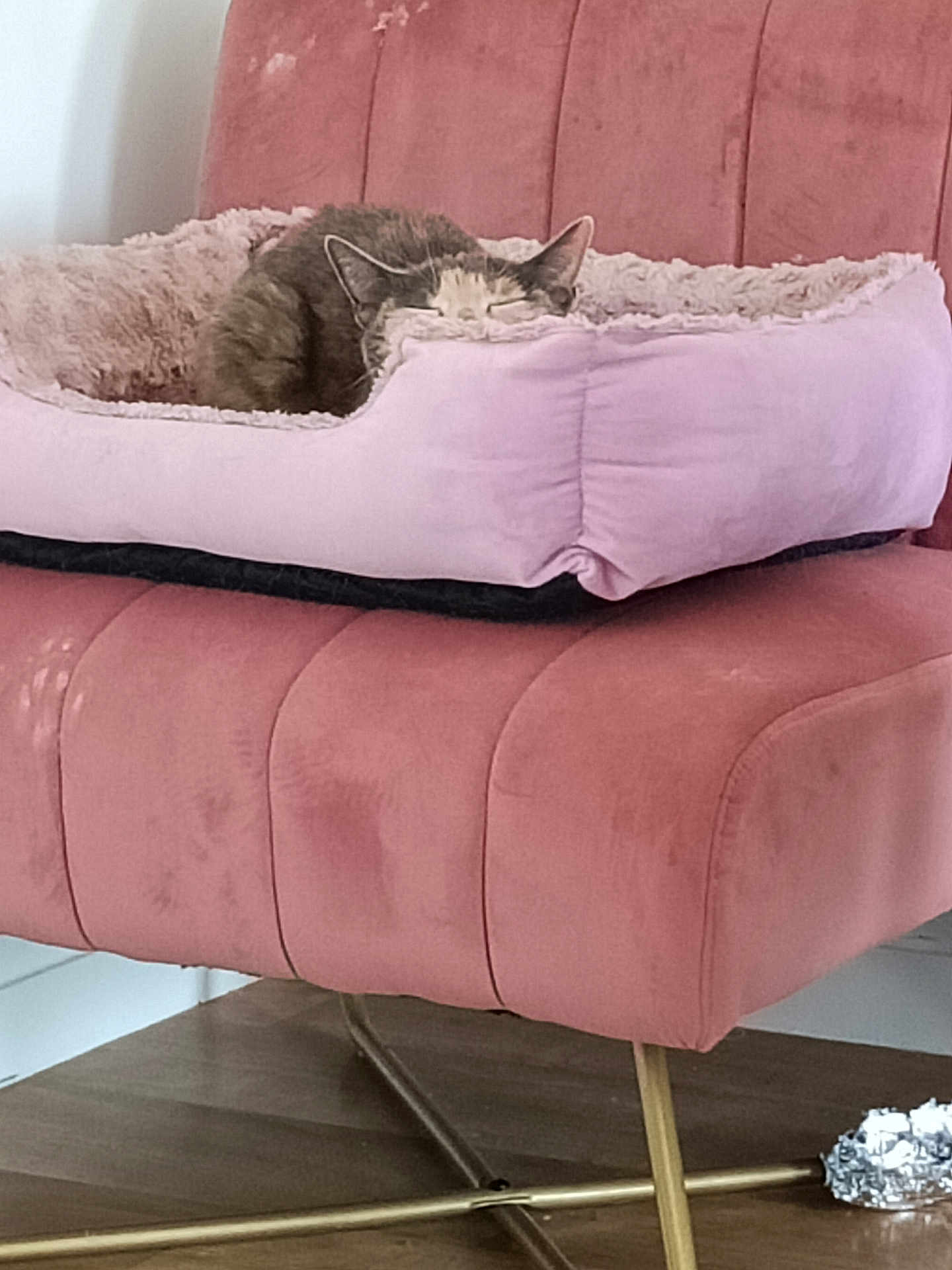 Mia