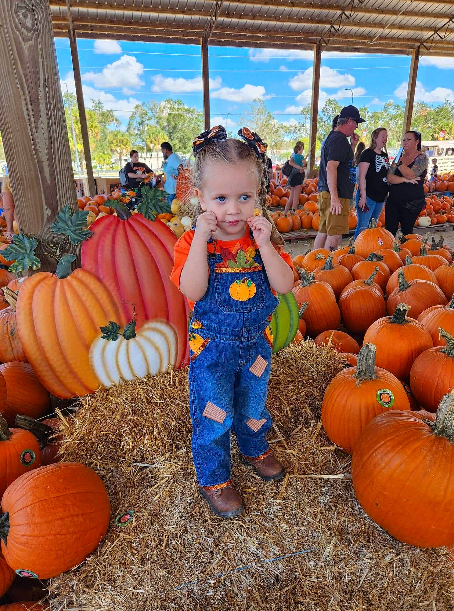 Lillian is registered to the contest to win money with this photo: agriculture, calabaza, cloud, cucurbita, gourd, grass, headwear, local_food, natural_foods, orange, people, person, plant, pumpkin, sky, squash, toddler, tree, vegetable, whole_food