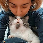 Noodle joined the competition — help win amazing prizes! person, cat, pajamas, polka_dot, indoor, affection, close_up, pet, cute, cozy, lap, hair, whiskers, closed_eyes, love, comfort, face, fur, nose, hand
