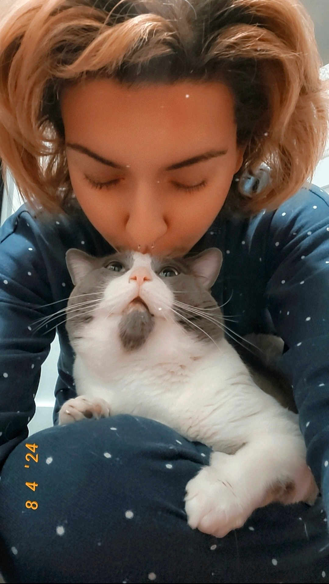 Noodle joined the competition — help win amazing prizes! person, cat, pajamas, polka_dot, indoor, affection, close_up, pet, cute, cozy, lap, hair, whiskers, closed_eyes, love, comfort, face, fur, nose, hand
