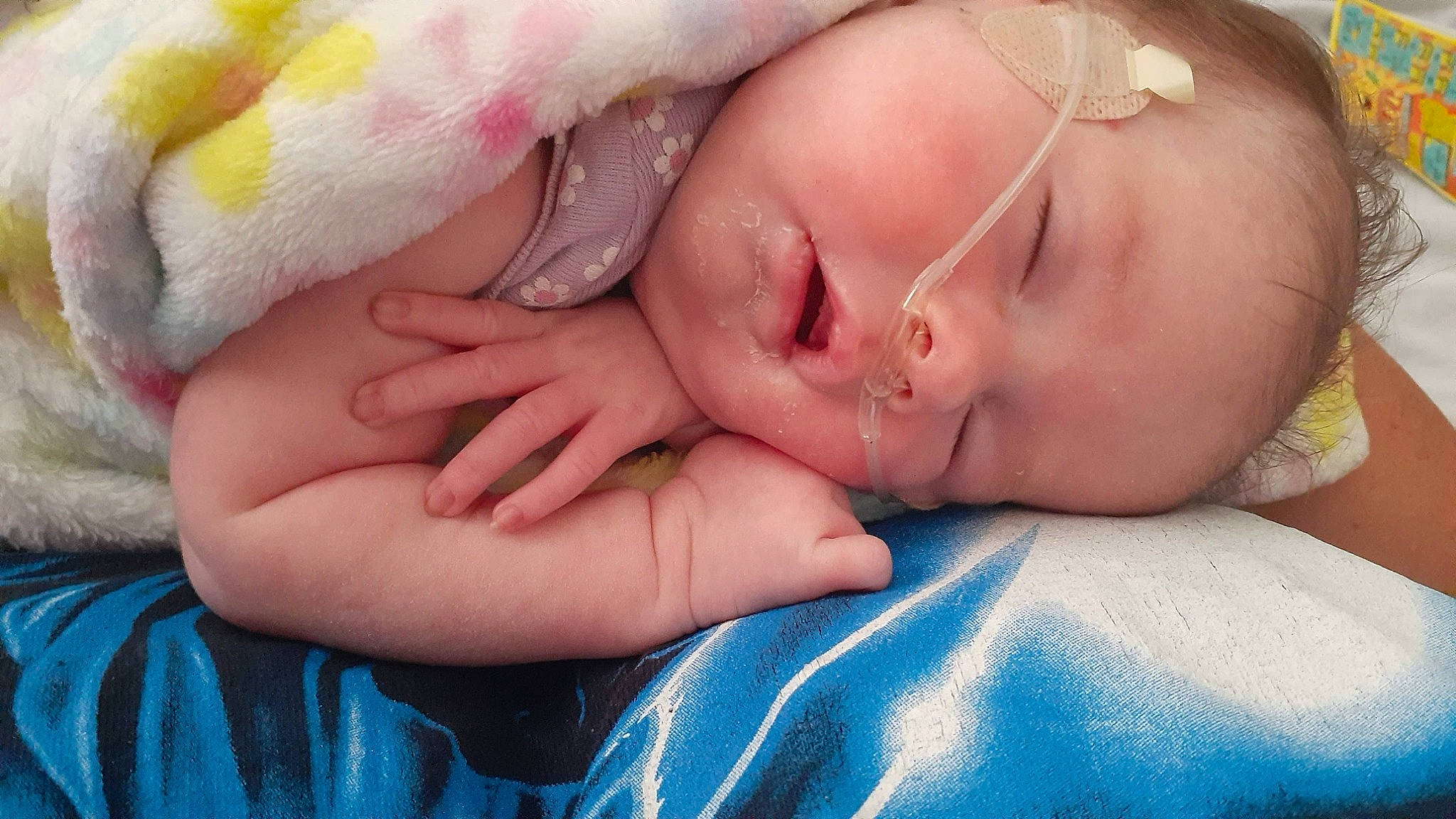 Adelina is registered to the contest to win money with this photo: baby, cheek, chin, comfort, eyebrow, eyelash, finger, gesture, glasses, grass, happy, iris, lip, mouth, nail, neck, nose, person, skin, thumb