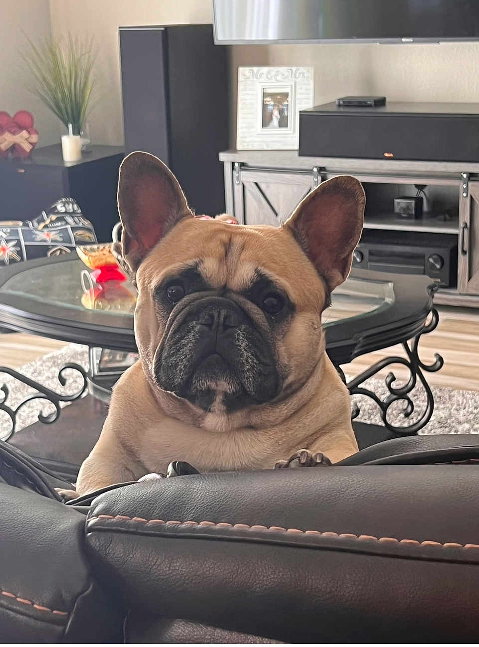 Bugsy Taylor