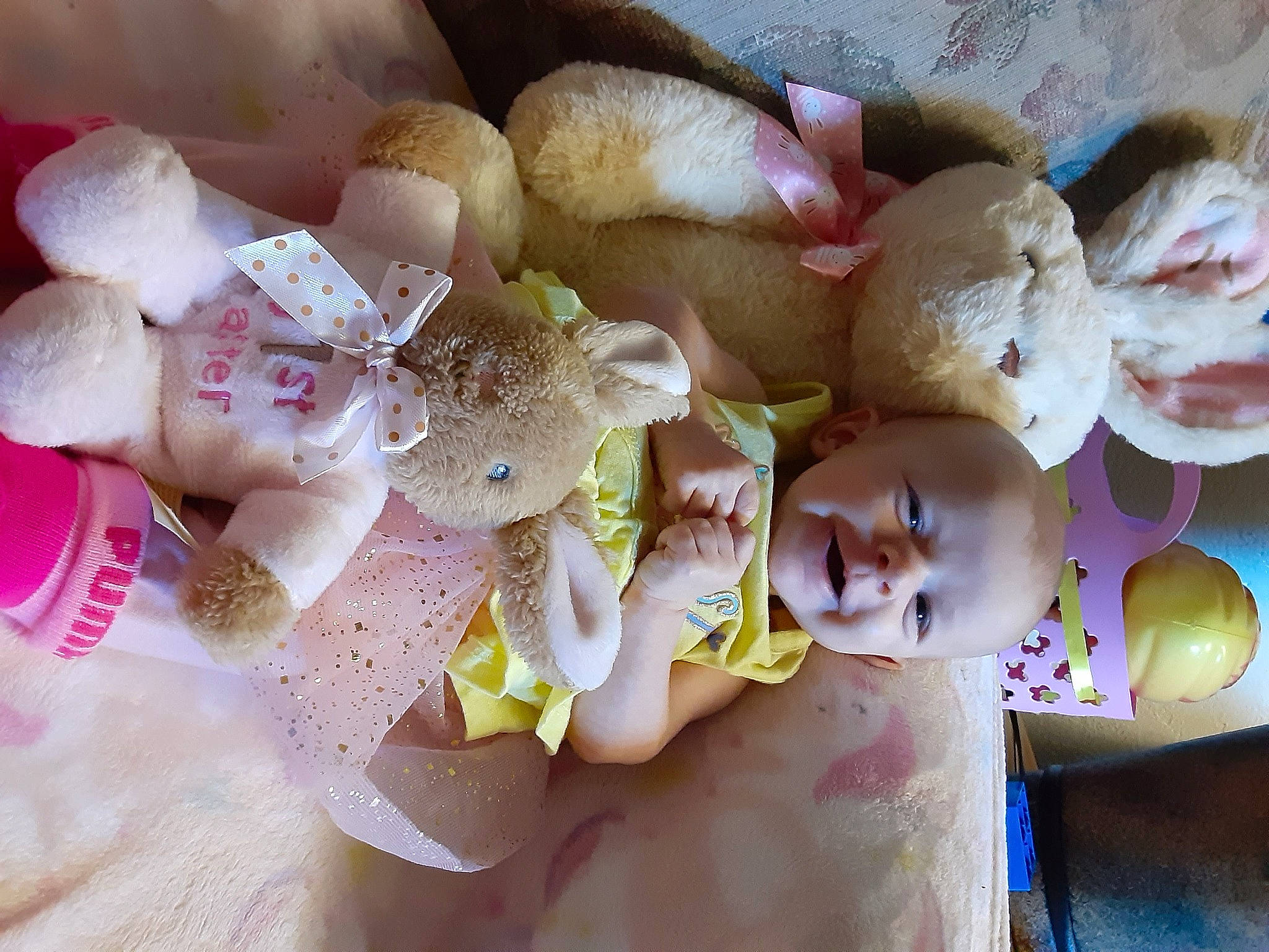 Embrie is registered to the contest to win money with this photo: art, baby, bouquet, child, comfort_food, cuisine, cut_flowers, flower, food, happy, ingredient, person, petal, pink, plant, product, room, stuffed_toy, sweetness, textile