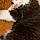 Berlioz