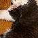 Berlioz