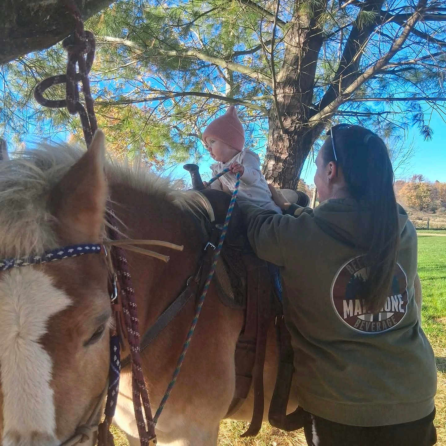 Whitlee is registered to the contest to win money with this photo: baby, child, adult, pony, horse, horseback_riding, outdoor, park, pine_tree, saddle, bridle, reins, winter_clothing, pink_hat, animal, riding, family, nature, sunlight, blue_sky