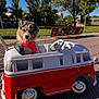 Avane a rejoint le concours — aidez-le/la à gagner de superbes lots ! animal, bench, daytime, dog, ears_up, grass, happy, nature, outdoor, park, pavement, pet, playful, puppy, red_harness, sunny, tongue_out, toy_car, trees, vehicle