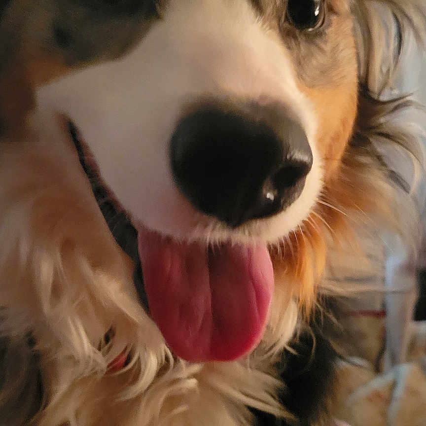 Zoey