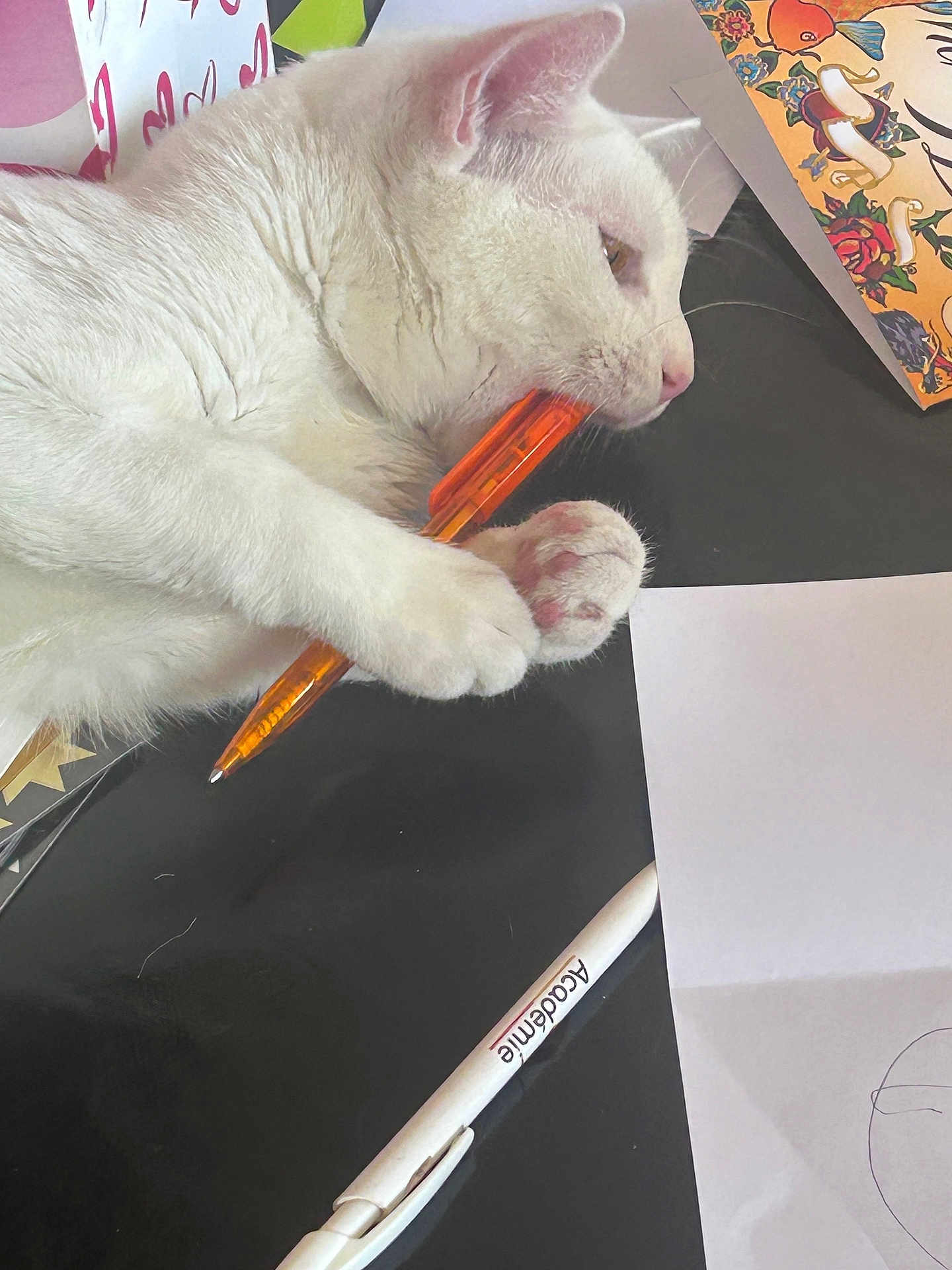 Einstein