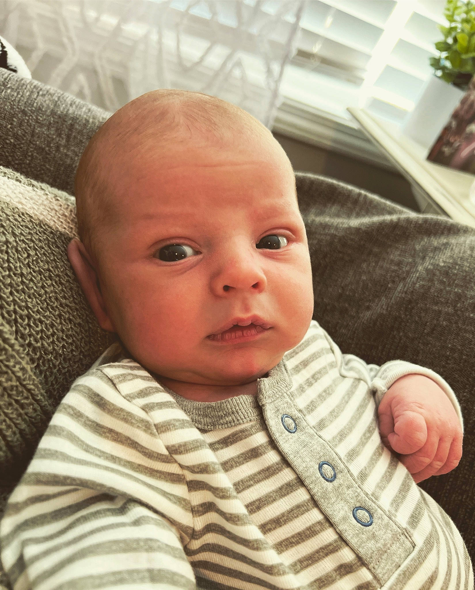 Graham is registered to the contest to win money with this photo: baby, baby_toddler_clothing, cheek, child, comfort, eye, eyebrow, finger, flowerpot, houseplant, iris, linens, lip, mouth, nose, person, plant, skin, sleeve, thumb