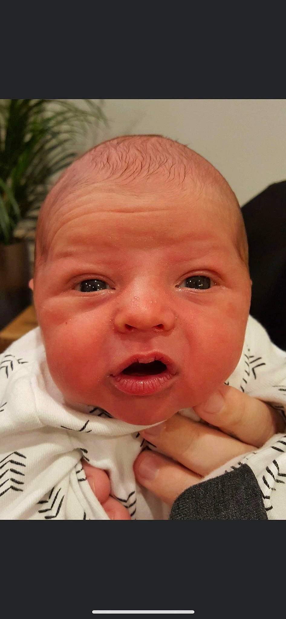 Graham is registered to the contest to win money with this photo: baby, cheek, ear, eyebrow, eyelash, finger, flowerpot, forehead, gesture, happy, houseplant, iris, jaw, lip, mouth, nose, person, plant, skin, thumb