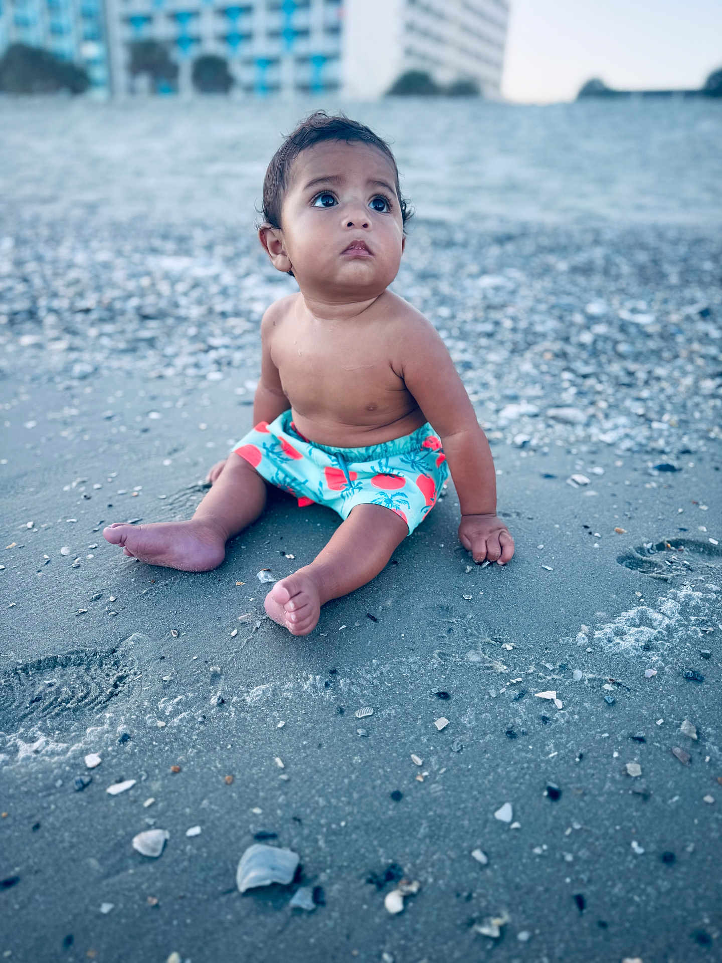 Thomas joined the competition — help win amazing prizes! baby, child, beach, sand, shells, shorts, barefoot, sitting, curious, outdoor, water, nature, person, summer, toddler, sea, coast, vacation, portrait, sunset