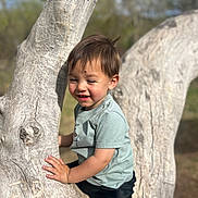 Axyl is registered to the contest to win money with this photo: toddler, child, tree, outdoor, sunlight, smiling, happy, nature, climbing, playful, casual_clothing, short_sleeves, brown_hair, daytime, skin, hands, trunk, greenery, background, person
