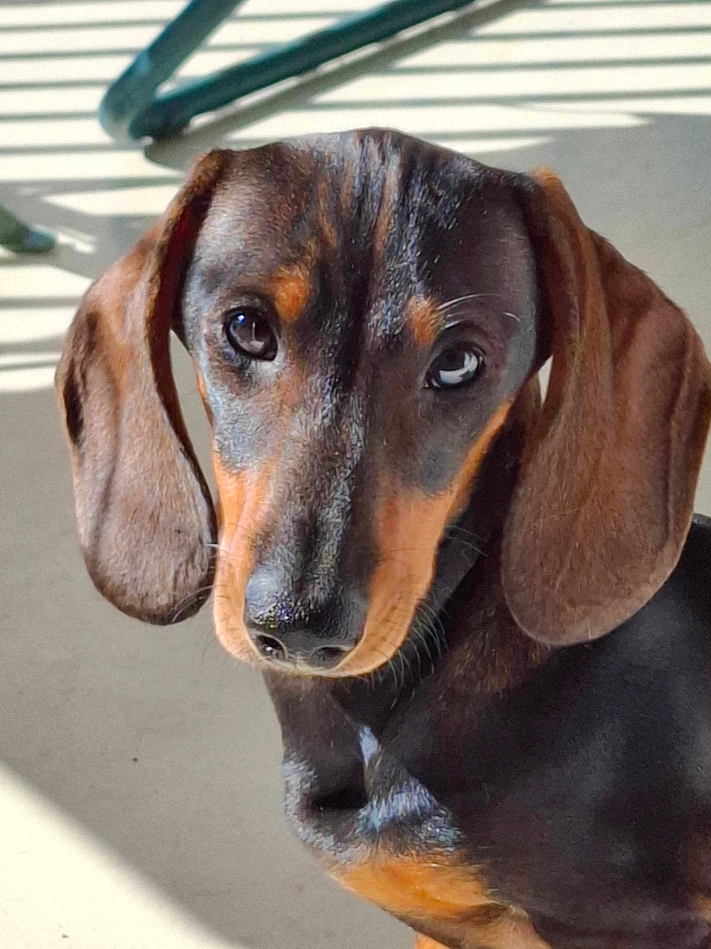 Alf