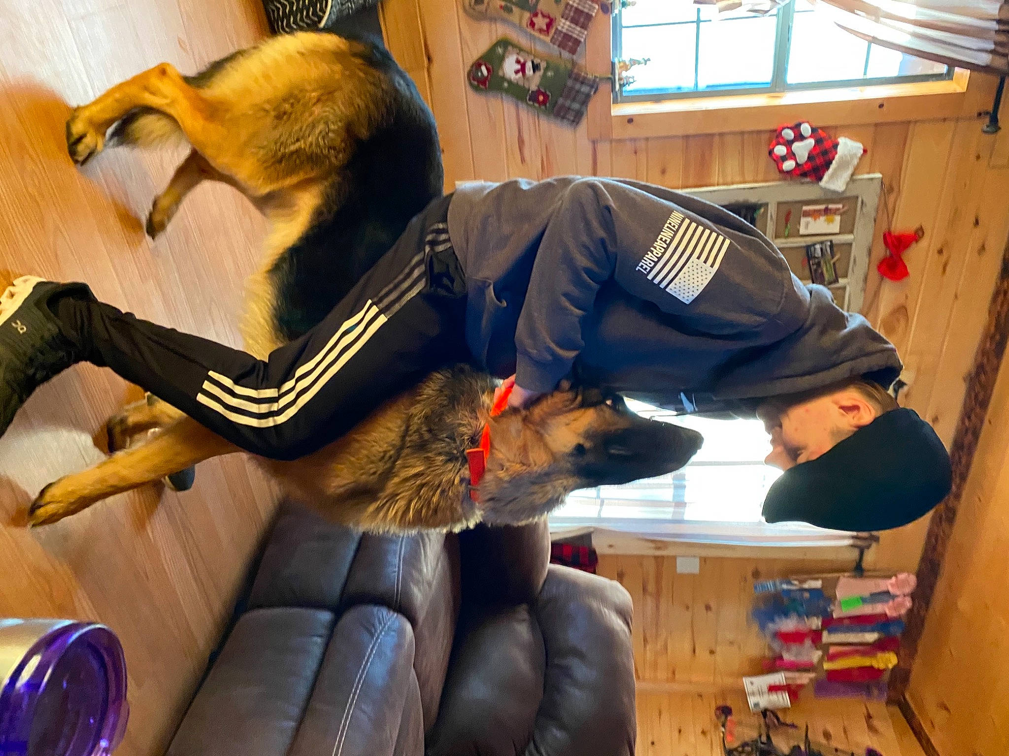 Link is registered to the contest to win money with this photo: comfort, companion_dog, dog_breed, felidae, flooring, fun, fur, hat, lap, room, small_to_medium_sized_cats, sporting_group, tail