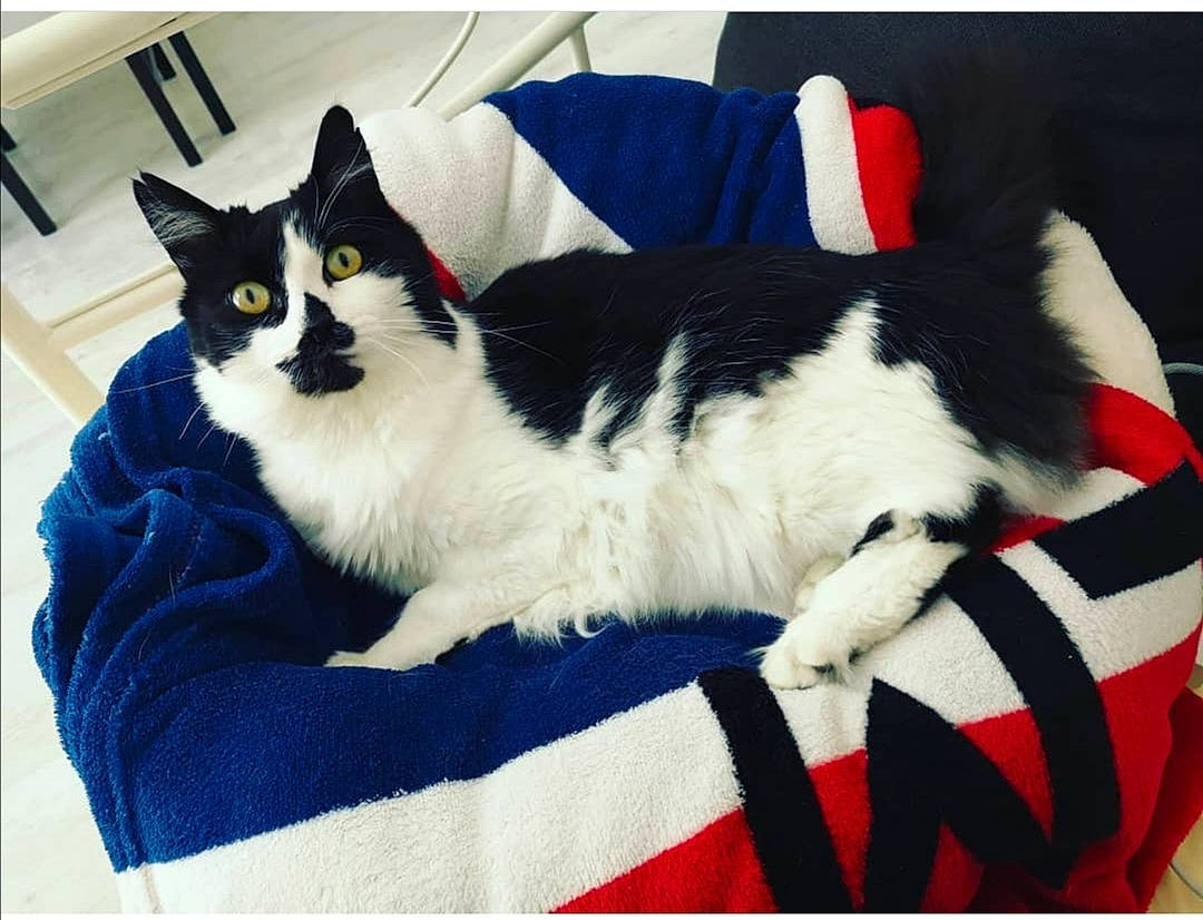 Rocket