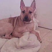 Tchelssy participe au concours pour gagner de l'argent avec cette photo :