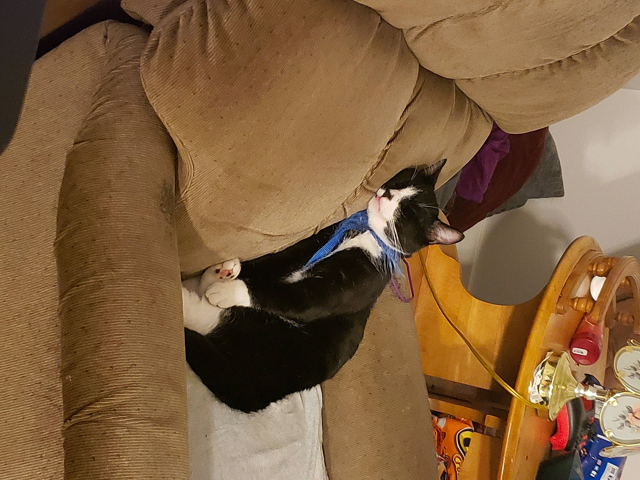 Little Foot is registered to the contest to win money with this photo: art, blazer, eyewear, fur, gesture, headgear, personal_protective_equipment, room, sculpture, sleeve, statue, suit, sunglasses, textile, tie, toy, visual_arts, wood