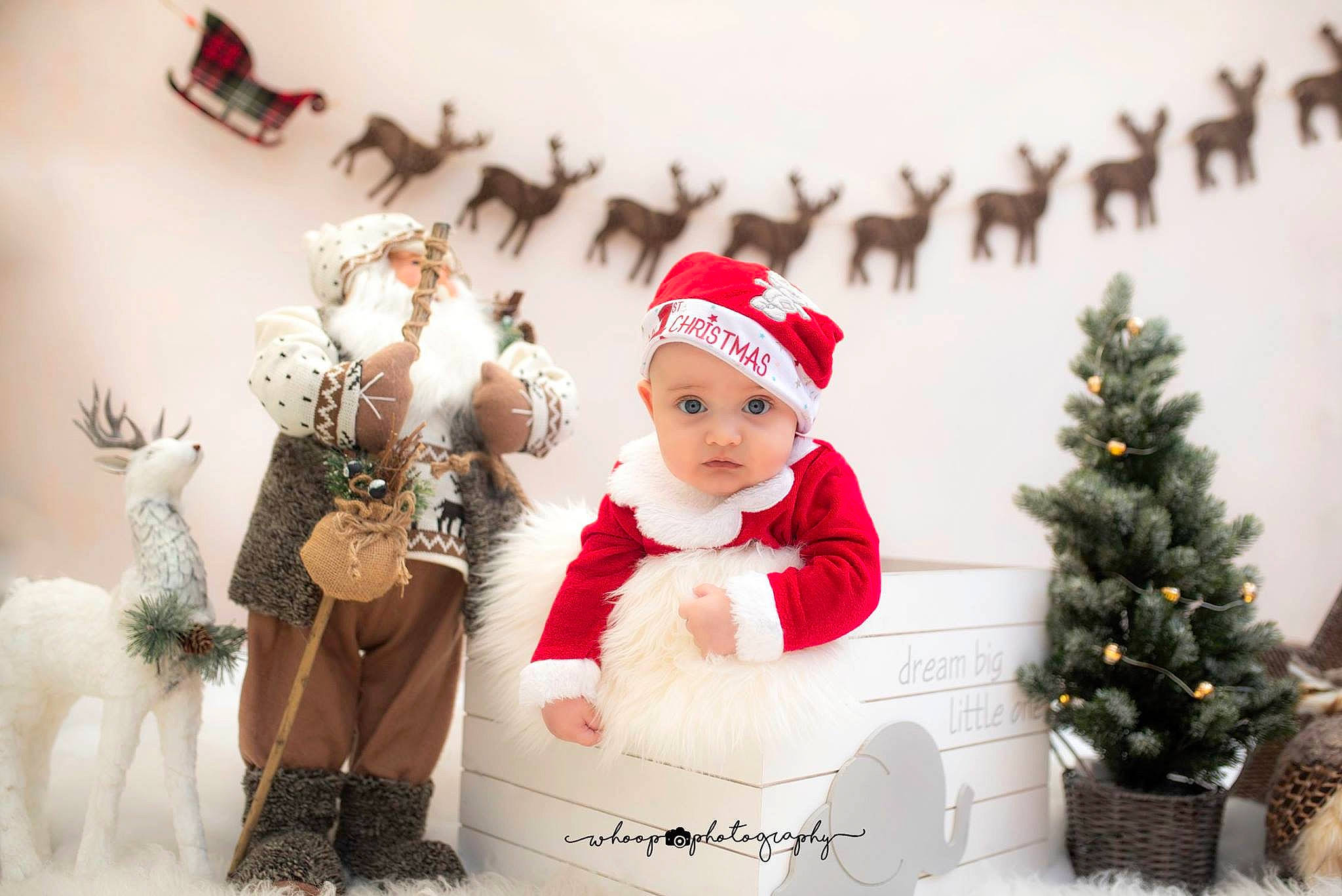 Freddy joined the competition — help win amazing prizes! christmas, christmas_decoration, christmas_ornament, christmas_tree, event, headwear, holiday, person, toddler, winter
