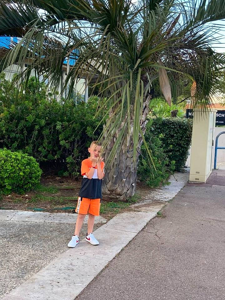 Ethann participe au concours pour gagner de l'argent avec cette photo : arecales, asphalt, garden, grass, landscaping, leisure, person, plant, road_surface, shade, shorts, shrub, sidewalk, sky, t_shirt, terrestrial_plant, tourism, tree, tropics, vacation