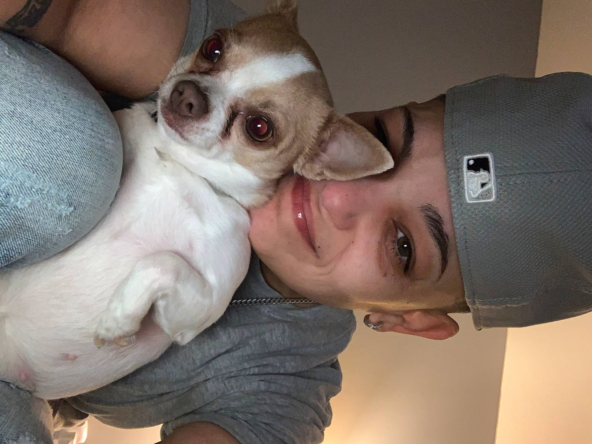 Snoopy is registered to the contest to win money with this photo: canidae, carnivore, chihuahua, companion_dog, dog, dog_breed, ear, fawn, mammal, non_sporting_group, nose, puppy, puppy_love, toy_dog