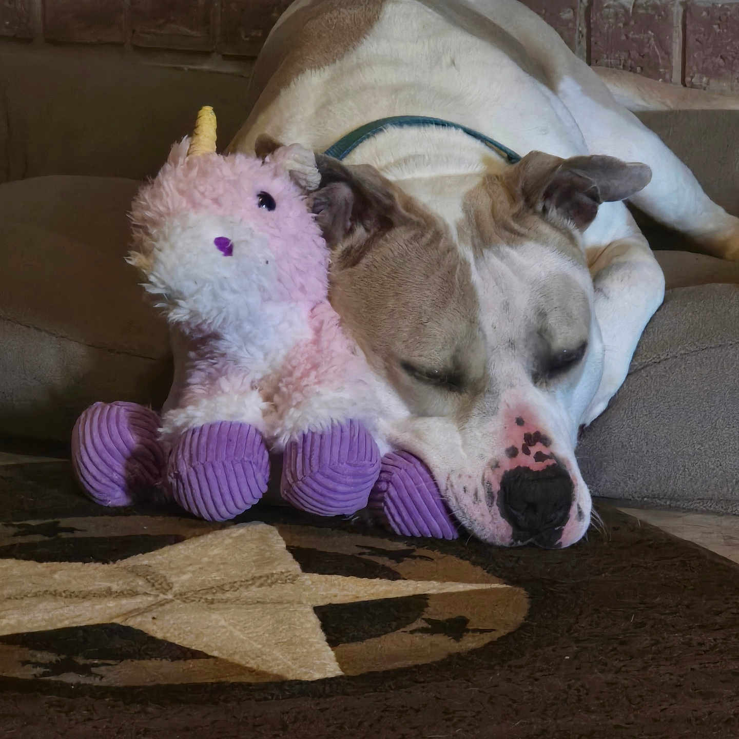 Tank joined the competition — help win amazing prizes! animal, bed, brown, carpet, cozy, cute, dog, ears, home, indoor, nose, pet, plush_toy, quiet, relaxation, resting, sleeping, stuffed_animal, unicorn, white