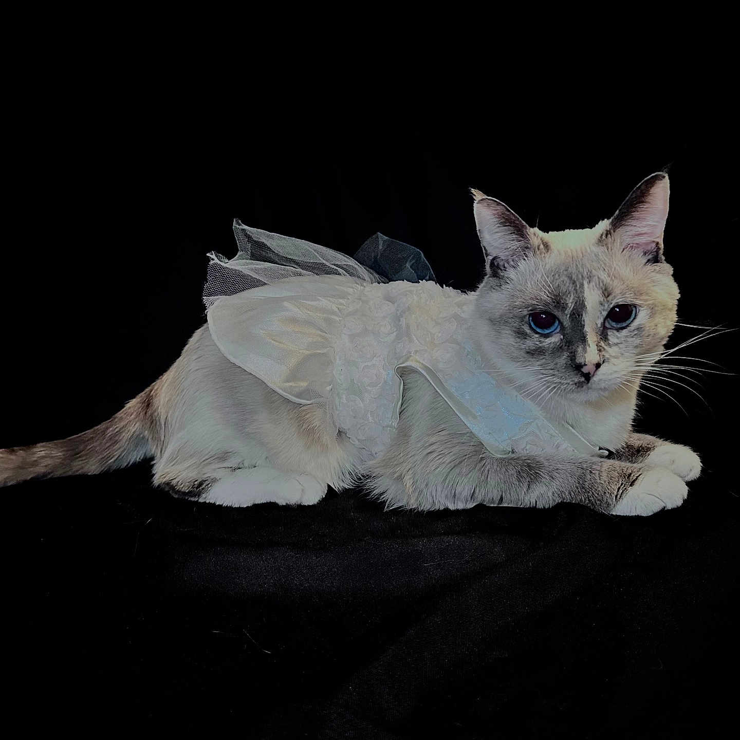 Missy