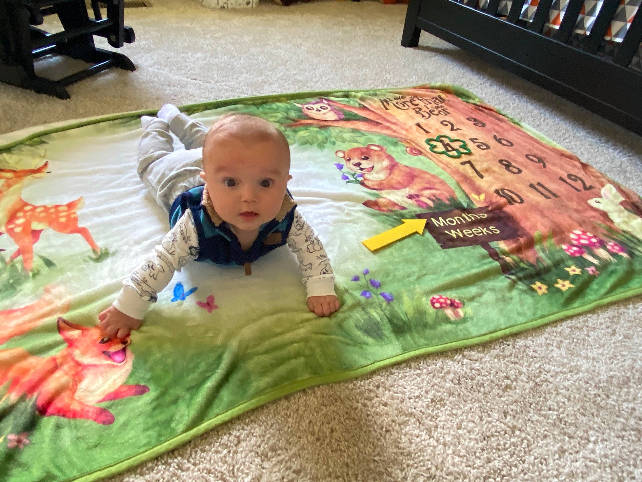 Daxton is registered to the contest to win money with this photo: art, baby, baby_products, carpet, child, floor, flooring, fun, grass, leisure, linens, person, play, playmat, recreation, road_surface, shelf, surprise, textile, toddler