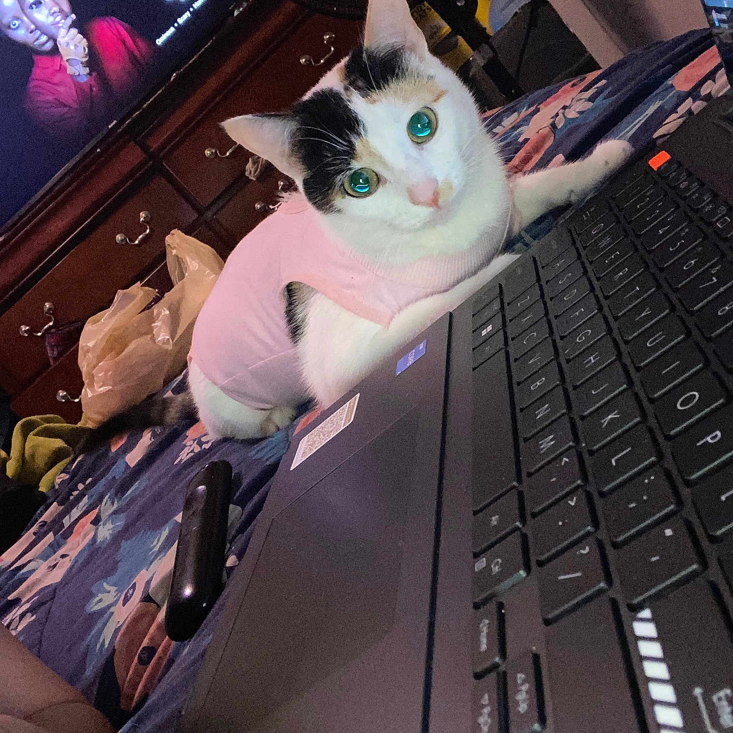 Bella