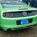 Enzo T.