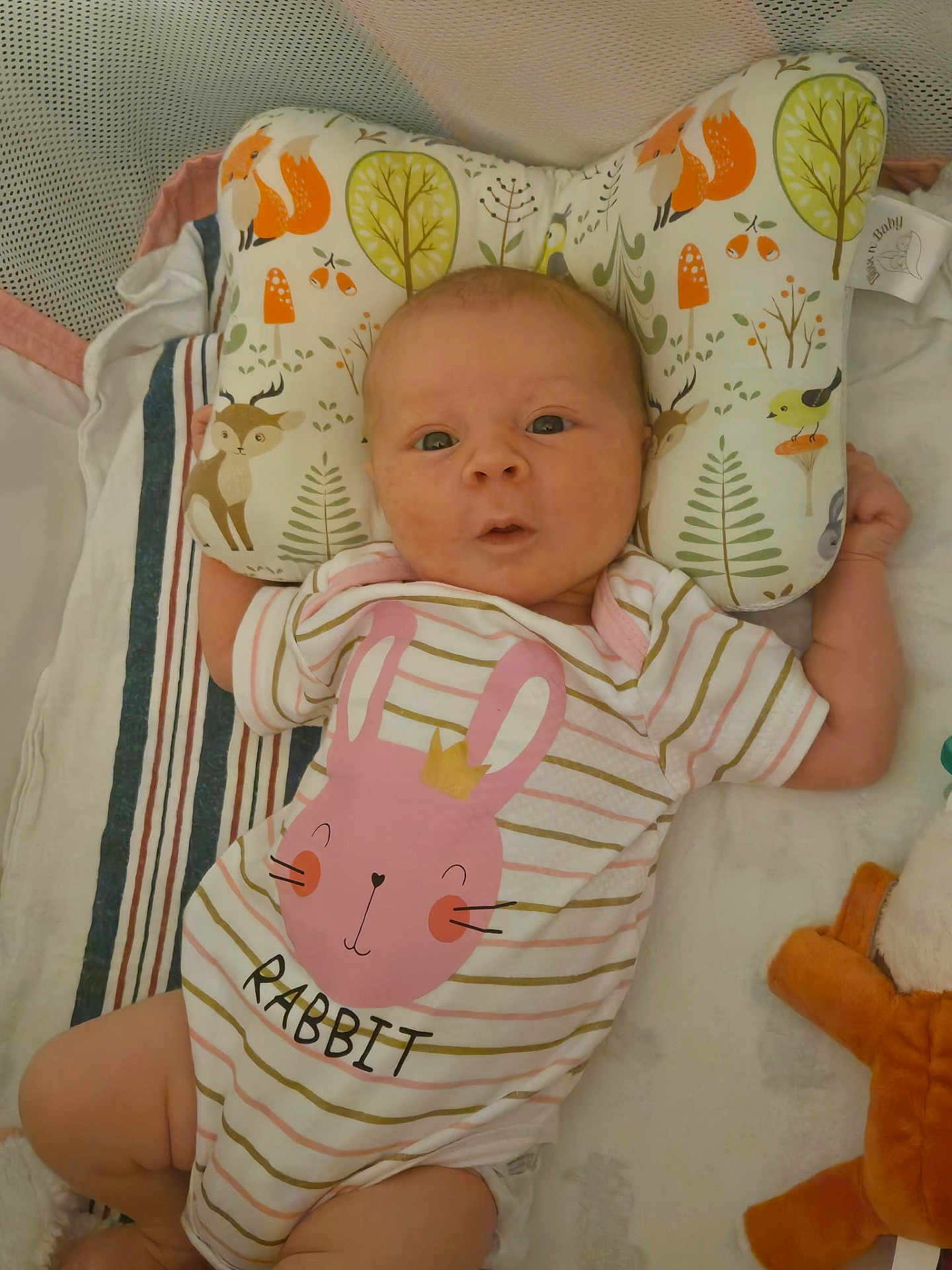 Mariah joined the competition — help win amazing prizes! baby, infant, onesie, pink, rabbit, striped_clothing, pillow, woodland_animals, deer, fox, bird, blanket, plush_toy, cute, child, face, expression, lying_down, bed, soft
