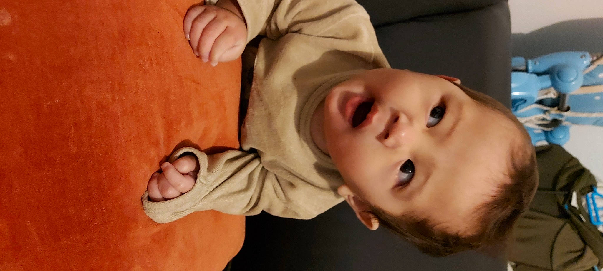 Lino a rejoint le concours — aidez-le/la à gagner de superbes lots ! arm, baby, baby_toddler_clothing, cheek, chin, clothing, eye, eyebrow, eyelash, finger, gesture, hand, headgear, human_body, lip, mouth, nose, person, plant, skin