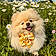 Sweety