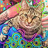cat, tabby_cat, tattoo, arm, hand, colorful, doodles, pattern, closeup, pet, animal, whiskers, fur, green_eyes, indoor, cozy, artistic, vibrant, playful, portrait