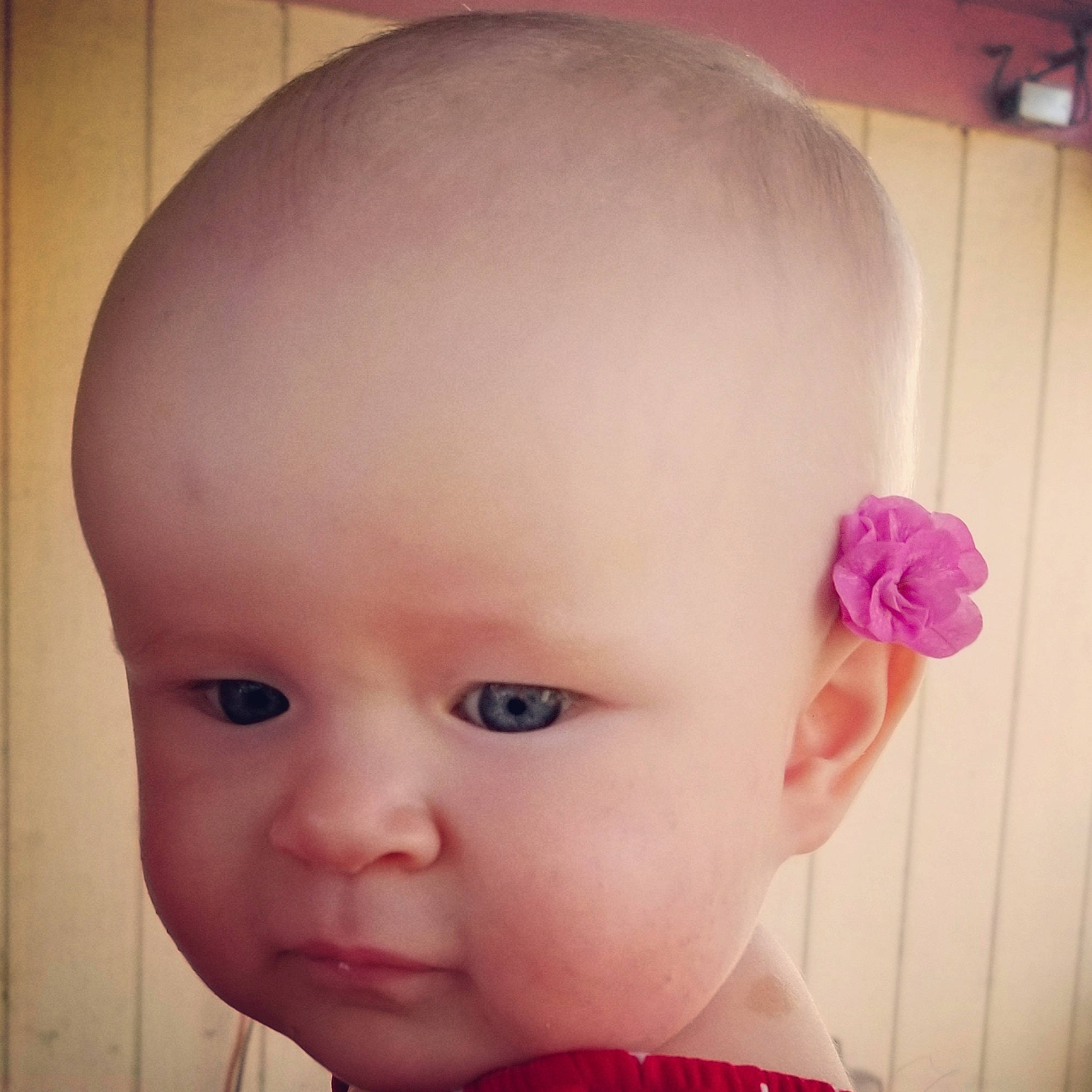 Lilian is registered to the contest to win money with this photo: baby_toddler_clothing, cheek, chin, cool, ear, eyebrow, eyelash, flower, forehead, hair, happy, iris, lip, mouth, neck, nose, person, pink, skin, sleeve