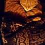 Danger joined the competition — help win amazing prizes! animal, blanket, cat, comfort, cozy, curled_up, cute, domestic, feline, fur, indoor, nap, orange_tabby, patterned_blanket, pet, quiet, relaxed, resting, sleeping, warm_lighting