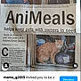 animal, article, cat, door, doorway, food, headline, holding, home, indoor, newspaper, orange_cat, person, pet, service, story, text, volunteer, window, woman