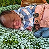 Ka'Mari is registered to the contest to win money with this photo: baby, sleeping, infant, flower_bed, nature, wicker_chair, plaid_shirt, peach_pants, blue_socks, peaceful, outdoor, grass, newborn, cute, portrait, child, resting, small_flowers, cozy, relaxing