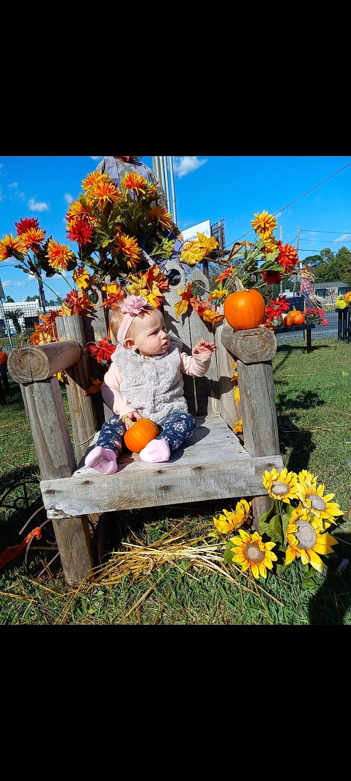 Mckenna joined the competition — help win amazing prizes! calabaza, cucurbita, daytime, event, flower, flowering_plant, fruit, fun, gourd, grass, leisure, local_food, natural_foods, orange, person, plant, pumpkin, sky, tree, whole_food