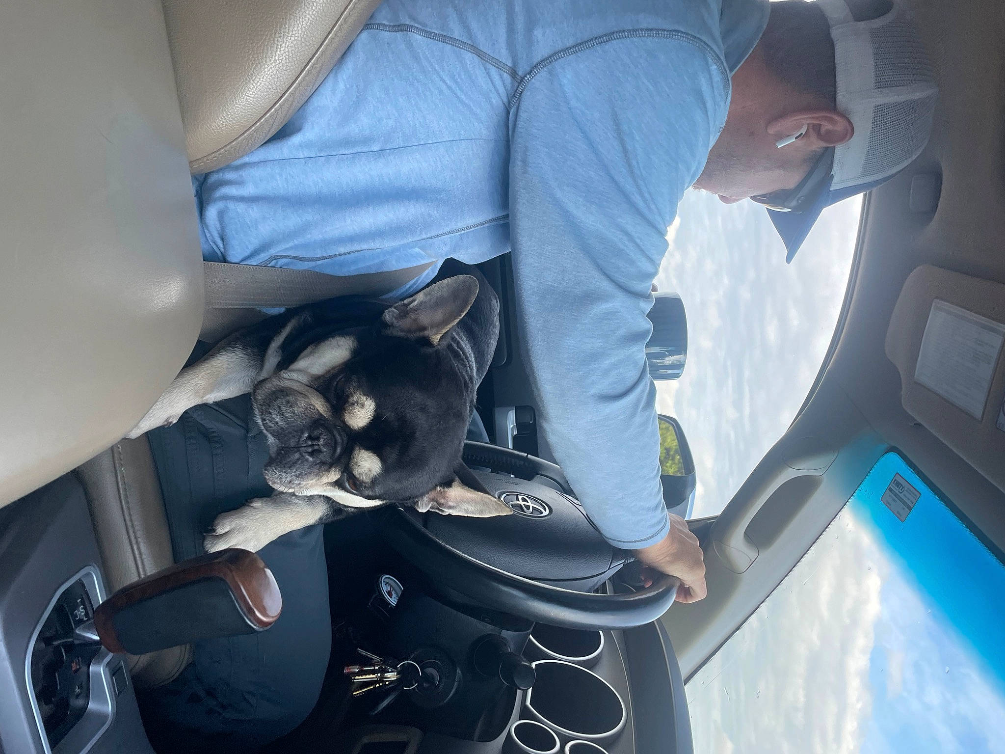 Murphy joined the competition — help win amazing prizes! auto_part, automotive_design, automotive_exterior, automotive_wheel_system, automotive_window_part, car, car_seat, car_seat_cover, comfort, electric_blue, family_car, head_restraint, hood, motor_vehicle, personal_luxury_car, steering_wheel, vehicle, vehicle_door, window, windshield