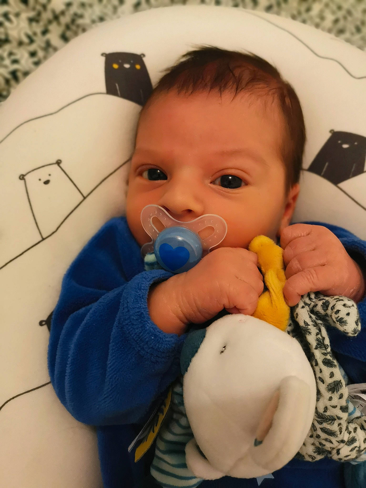 Alec participe au concours pour gagner de l'argent avec cette photo : baby, baby_products, baby_toys, cheek, child, eye, finger, head, mouth, nose, person, product, room, skin, toddler