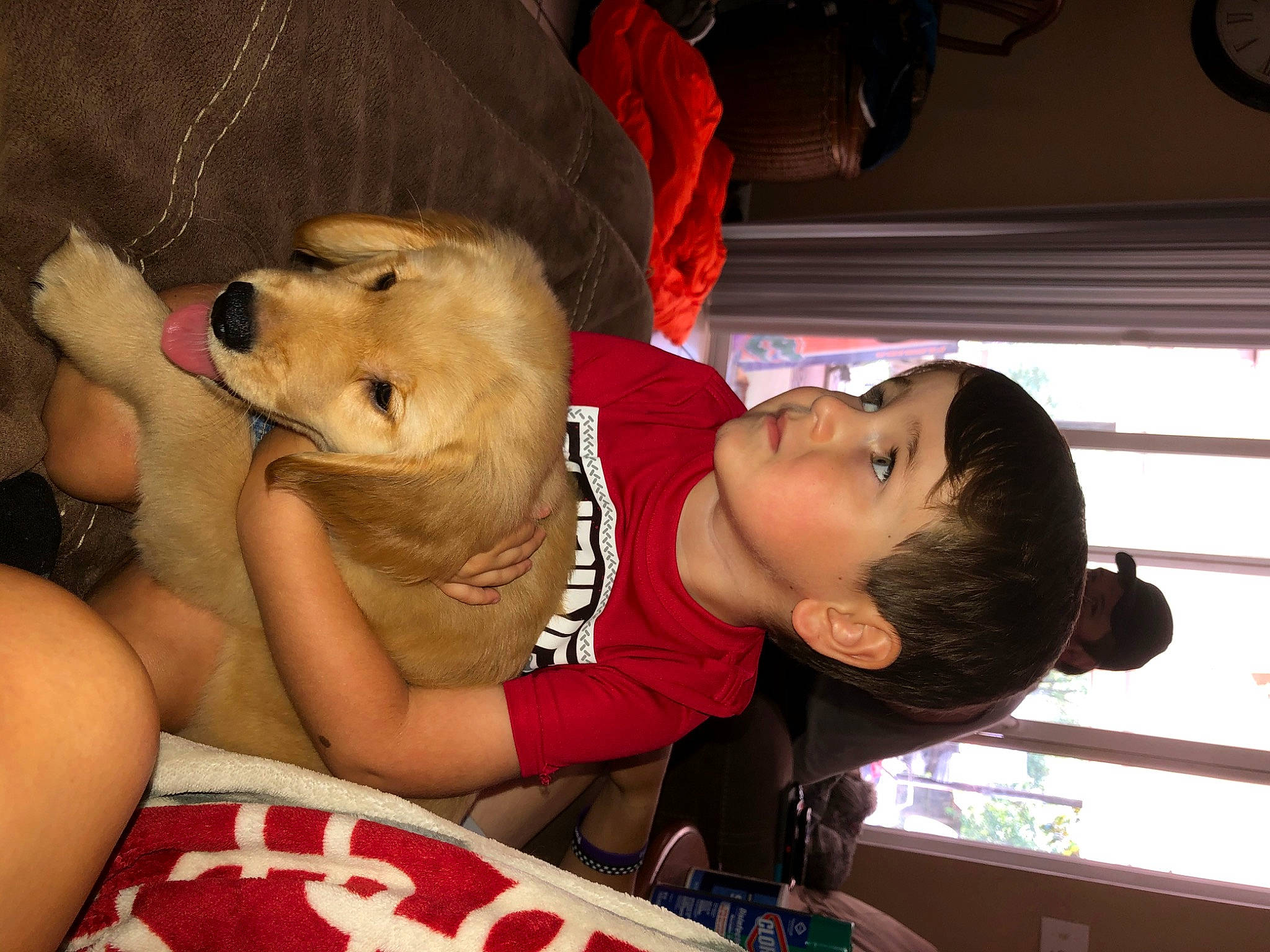 Murphy joined the competition — help win amazing prizes! canidae, carnivore, child, companion_dog, dog, dog_breed, fawn, interaction, mouth, puppy, puppy_love, retriever, sporting_group