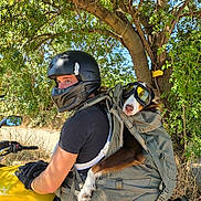 Agua a rejoint le concours — aidez-le/la à gagner de superbes lots ! person, dog, motorcycle, helmet, goggles, backpack, gloves, tree, outdoor, sunlight, yellow, leaves, nature, animal, pet, riding, transportation, adventure, protective_gear, summer