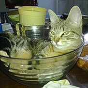 Praline participe au concours pour gagner de l'argent avec cette photo :
