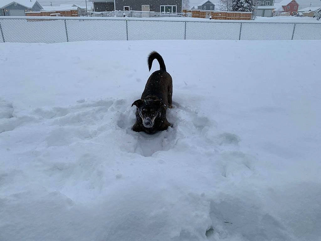 Chase is registered to the contest to win money with this photo: automotive_tire, event, fence, freezing, home_fencing, landscape, playing_in_the_snow, precipitation, recreation, slope, snow, snow_boot, sporting_group, water, window, winter