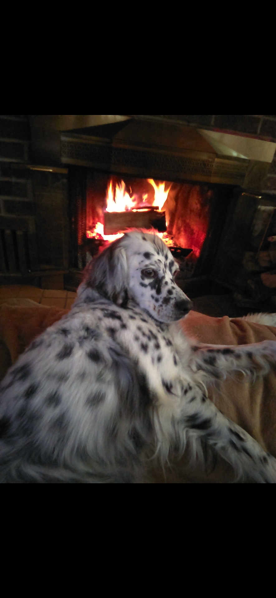 Millie