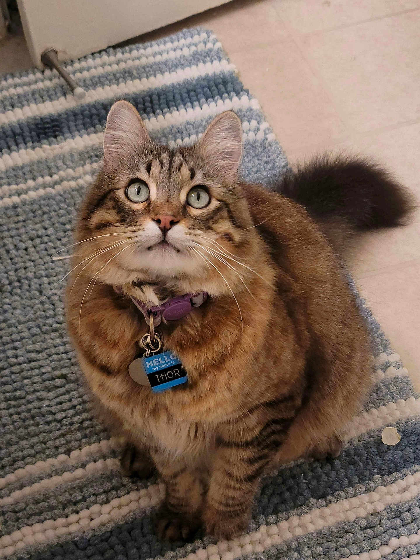 Thor