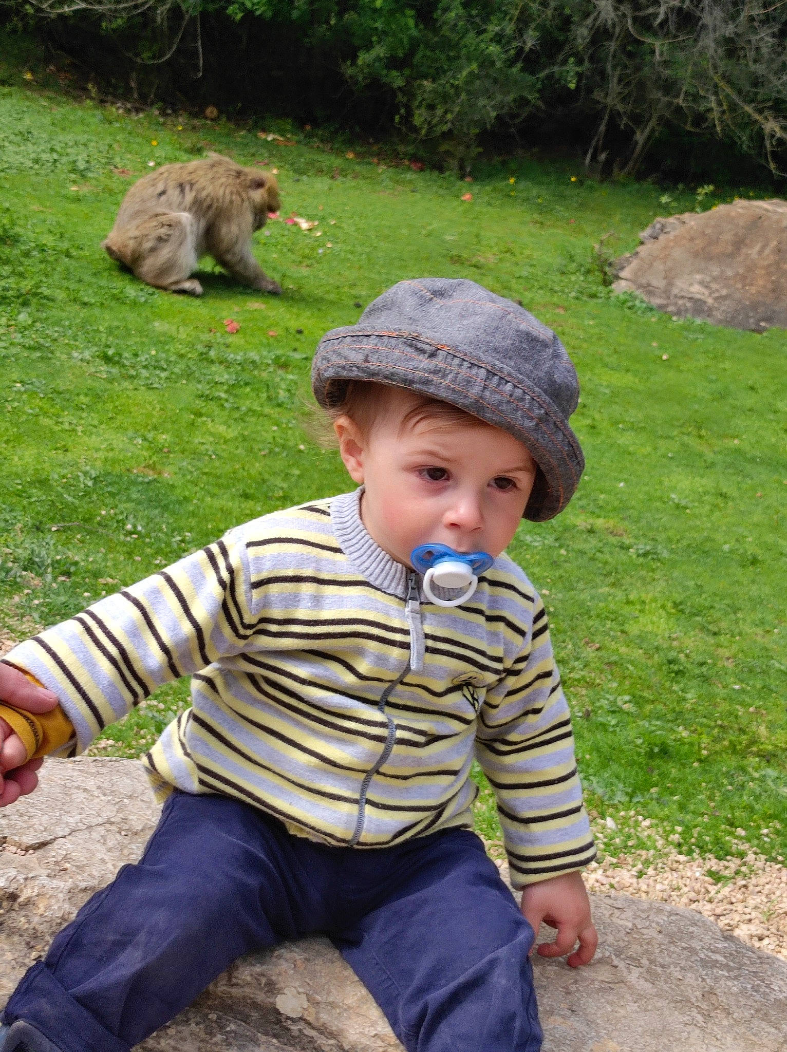 Daynis participe au concours pour gagner de l'argent avec cette photo : adaptation, baby_toddler_clothing, botany, cap, child, fun, garden, grass, grass_family, hat, headwear, leisure, mammal, person, primate, recreation, sitting, sleeve, sun_hat, terrestrial_animal